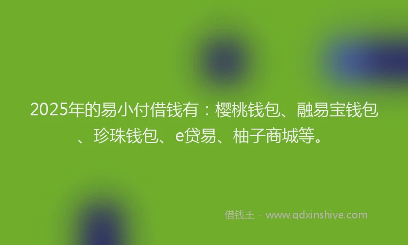 2025年的易小付借钱有：樱桃钱包、融易宝钱包、珍珠钱包、e贷易、柚子商城等。