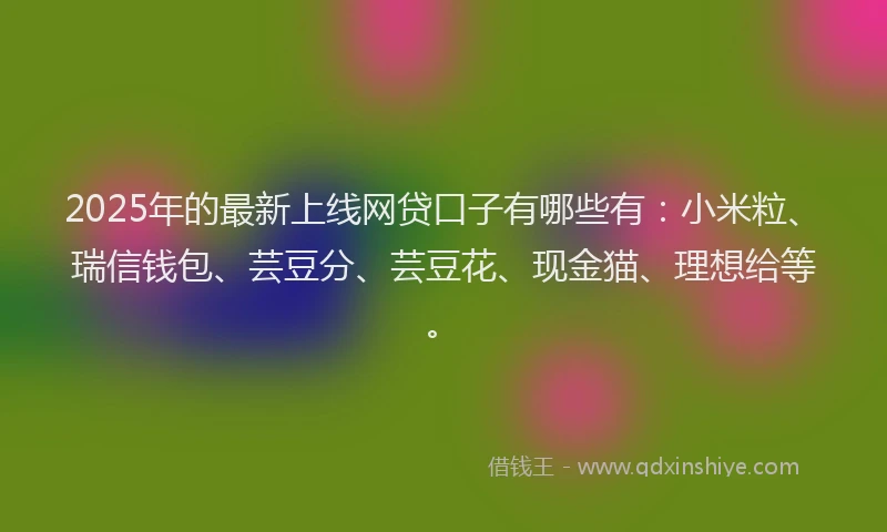 2025年的最新上线网贷口子有哪些有：小米粒、瑞信钱包、芸豆分、芸豆花、现金猫、理想给等。