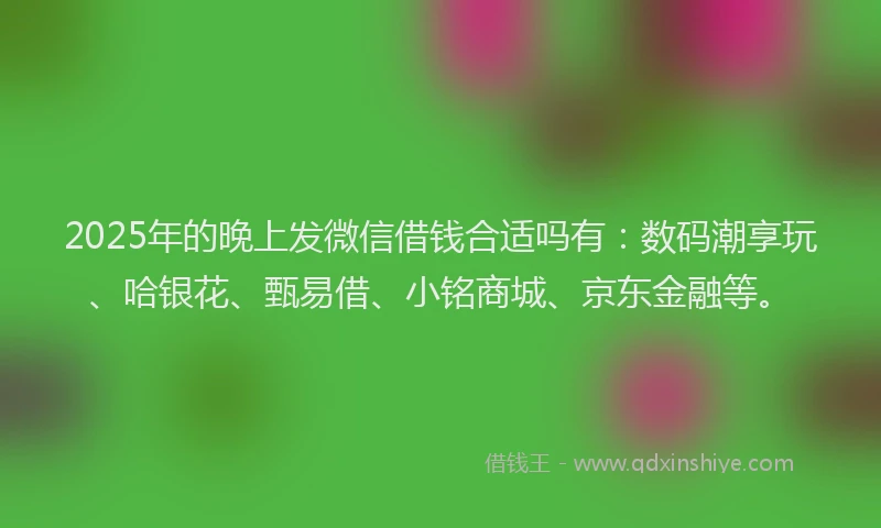 2025年的晚上发微信借钱合适吗有：数码潮享玩、哈银花、甄易借、小铭商城、京东金融等。