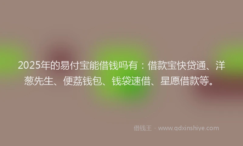 2025年的易付宝能借钱吗有：借款宝快贷通、洋葱先生、便荔钱包、钱袋速借、星愿借款等。
