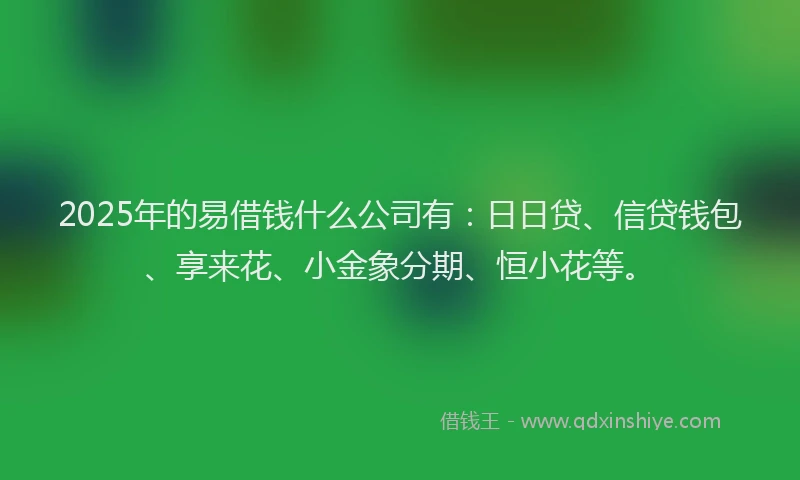 2025年的易借钱什么公司有：日日贷、信贷钱包、享来花、小金象分期、恒小花等。