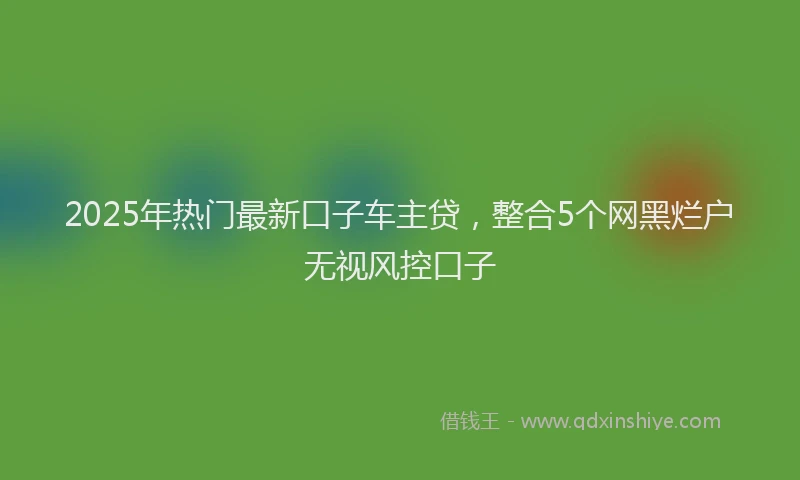 2025年热门最新口子车主贷，整合5个网黑烂户无视风控口子