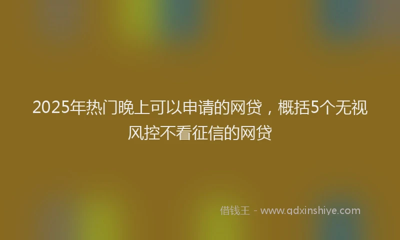 2025年热门晚上可以申请的网贷，概括5个无视风控不看征信的网贷