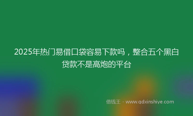 2025年热门易借口袋容易下款吗，整合五个黑白贷款不是高炮的平台