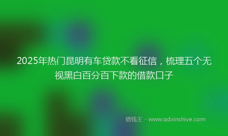 2025年热门昆明有车贷款不看征信，梳理五个无视黑白百分百下款的借款口子