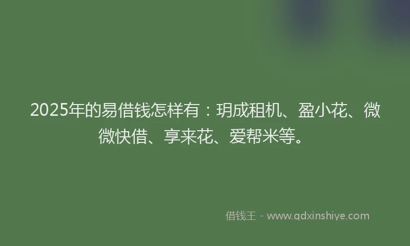 2025年的易借钱怎样有：玥成租机、盈小花、微微快借、享来花、爱帮米等。