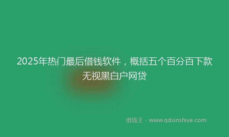 2025年热门最后借钱软件，概括五个百分百下款无视黑白户网贷