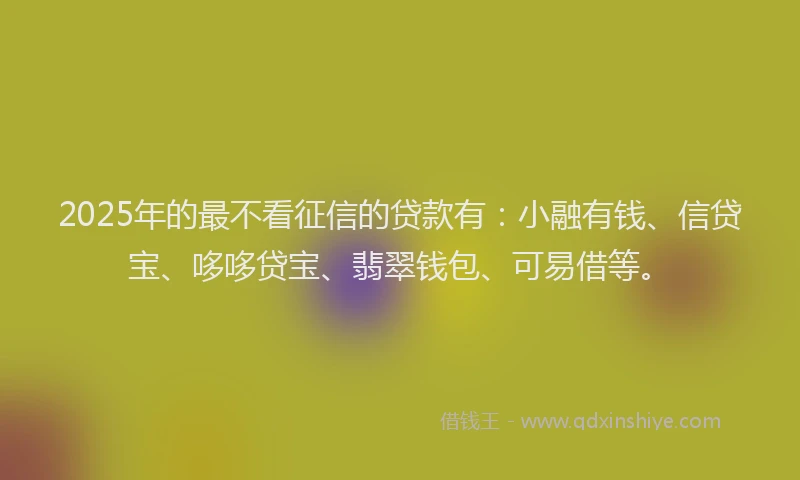 2025年的最不看征信的贷款有：小融有钱、信贷宝、哆哆贷宝、翡翠钱包、可易借等。