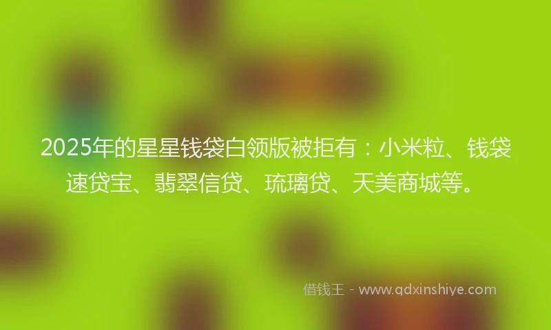 2025年的星星钱袋白领版被拒有：小米粒、钱袋速贷宝、翡翠信贷、琉璃贷、天美商城等。