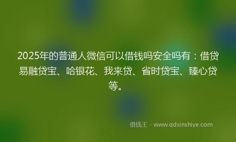 2025年的普通人微信可以借钱吗安全吗有：借贷易融贷宝、哈银花、我来贷、省时贷宝、臻心贷等。
