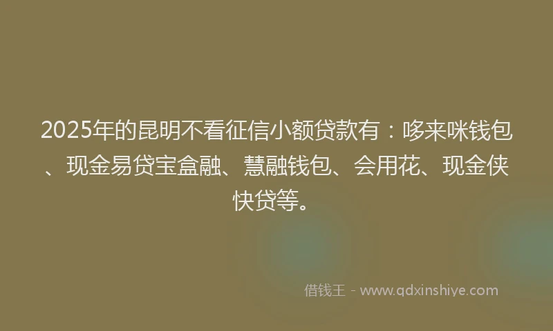 2025年的昆明不看征信小额贷款有：哆来咪钱包、现金易贷宝盒融、慧融钱包、会用花、现金侠快贷等。
