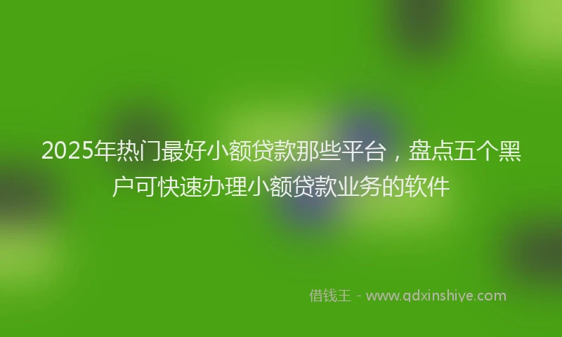 2025年热门最好小额贷款那些平台，盘点五个黑户可快速办理小额贷款业务的软件