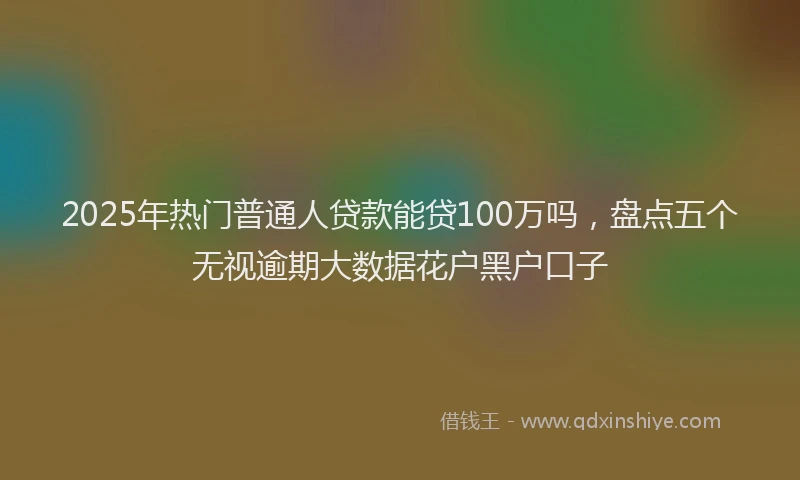 2025年热门普通人贷款能贷100万吗，盘点五个无视逾期大数据花户黑户口子