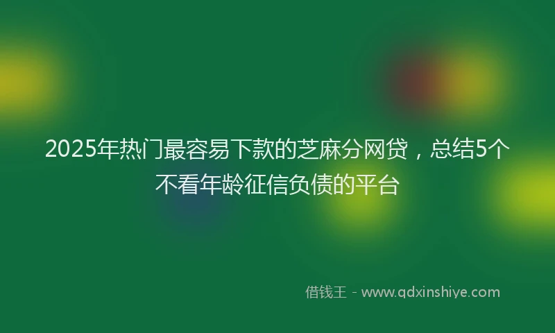 2025年热门最容易下款的芝麻分网贷，总结5个不看年龄征信负债的平台