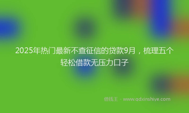 2025年热门最新不查征信的贷款9月，梳理五个轻松借款无压力口子