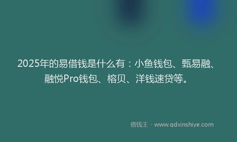 2025年的易借钱是什么有：小鱼钱包、甄易融、融悦Pro钱包、榕贝、洋钱速贷等。