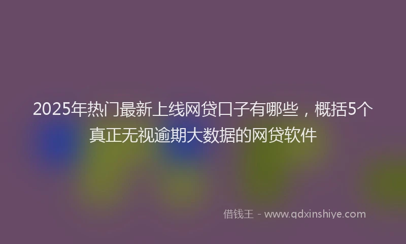 2025年热门最新上线网贷口子有哪些，概括5个真正无视逾期大数据的网贷软件