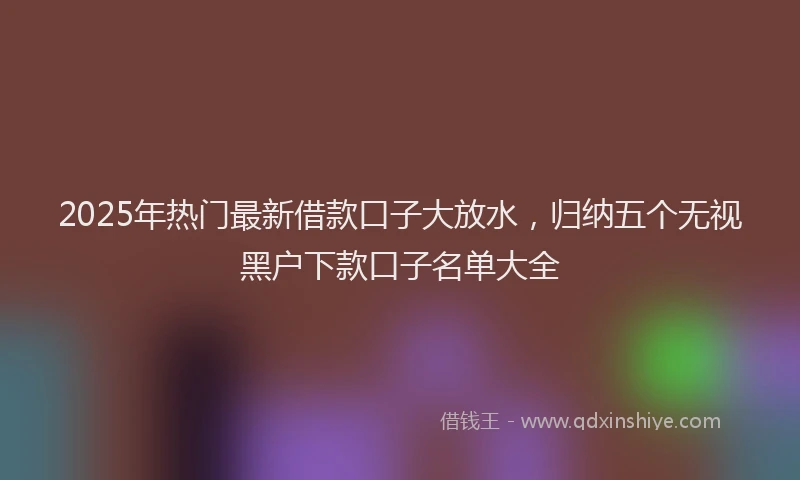 2025年热门最新借款口子大放水，归纳五个无视黑户下款口子名单大全