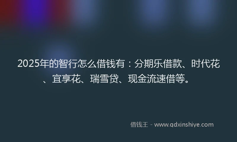 2025年的智行怎么借钱有：分期乐借款、时代花、宜享花、瑞雪贷、现金流速借等。