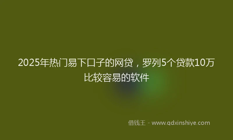 2025年热门易下口子的网贷，罗列5个贷款10万比较容易的软件
