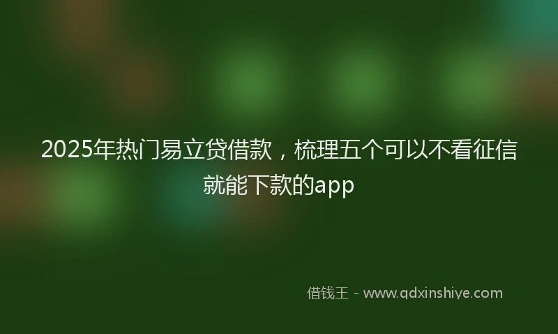 2025年热门易立贷借款，梳理五个可以不看征信就能下款的app