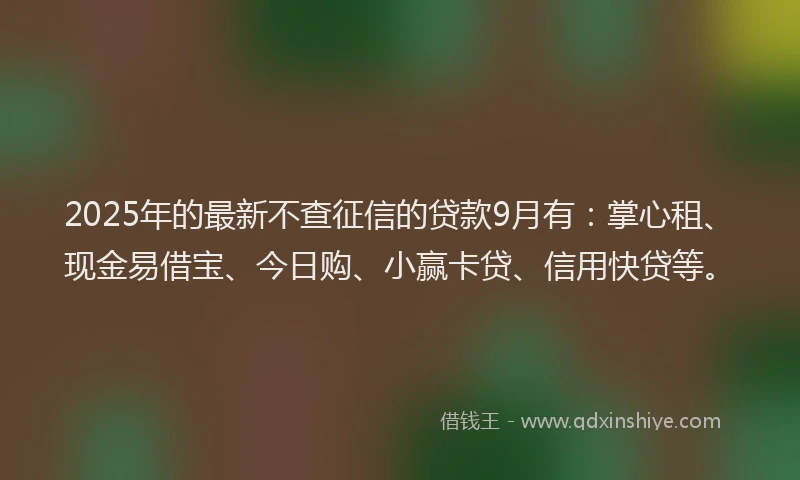 2025年的最新不查征信的贷款9月有：掌心租、现金易借宝、今日购、小赢卡贷、信用快贷等。