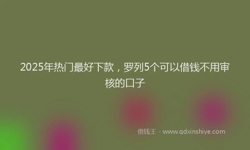 2025年热门最好下款，罗列5个可以借钱不用审核的口子
