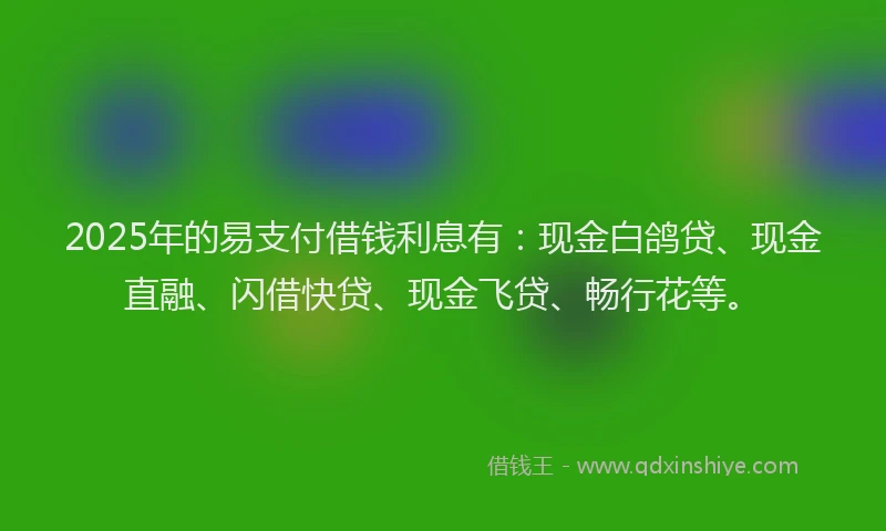 2025年的易支付借钱利息有：现金白鸽贷、现金直融、闪借快贷、现金飞贷、畅行花等。