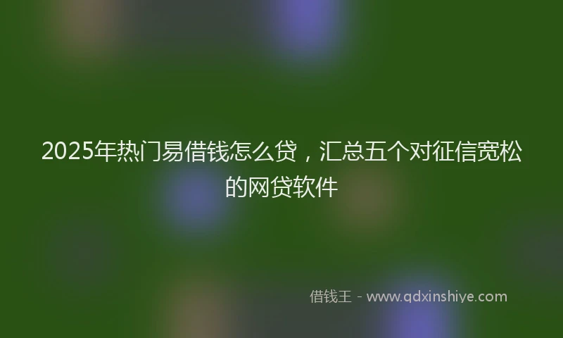 2025年热门易借钱怎么贷，汇总五个对征信宽松的网贷软件