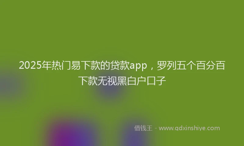 2025年热门易下款的贷款app，罗列五个百分百下款无视黑白户口子