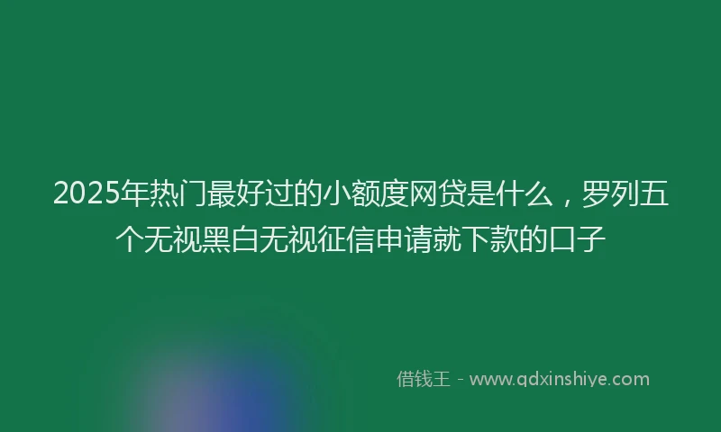 2025年热门最好过的小额度网贷是什么，罗列五个无视黑白无视征信申请就下款的口子