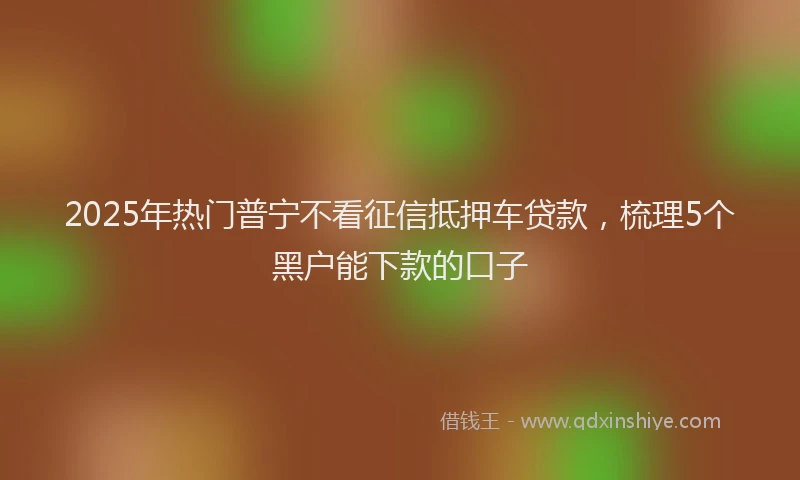 2025年热门普宁不看征信抵押车贷款，梳理5个黑户能下款的口子