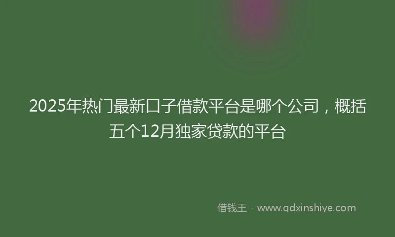 2025年热门最新口子借款平台是哪个公司，概括五个12月独家贷款的平台