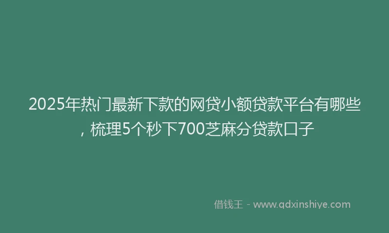 2025年热门最新下款的网贷小额贷款平台有哪些，梳理5个秒下700芝麻分贷款口子