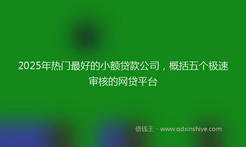 2025年热门最好的小额贷款公司，概括五个极速审核的网贷平台
