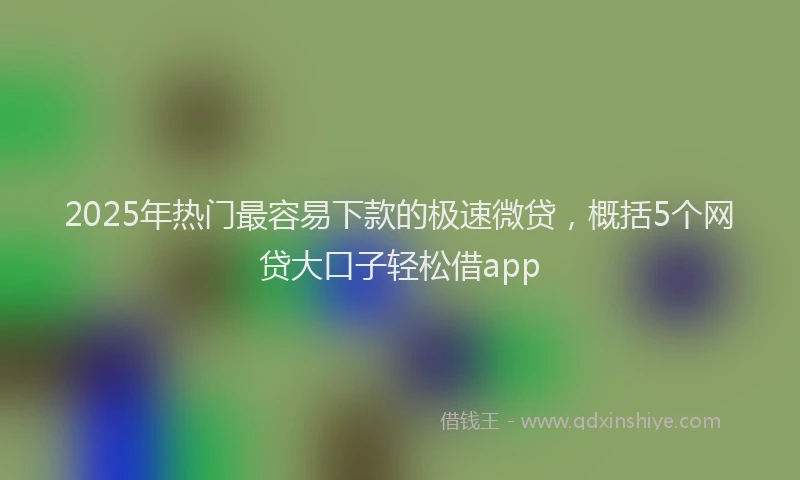 2025年热门最容易下款的极速微贷，概括5个网贷大口子轻松借app