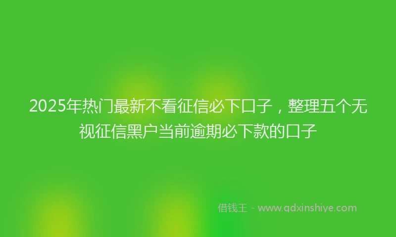 2025年热门最新不看征信必下口子，整理五个无视征信黑户当前逾期必下款的口子