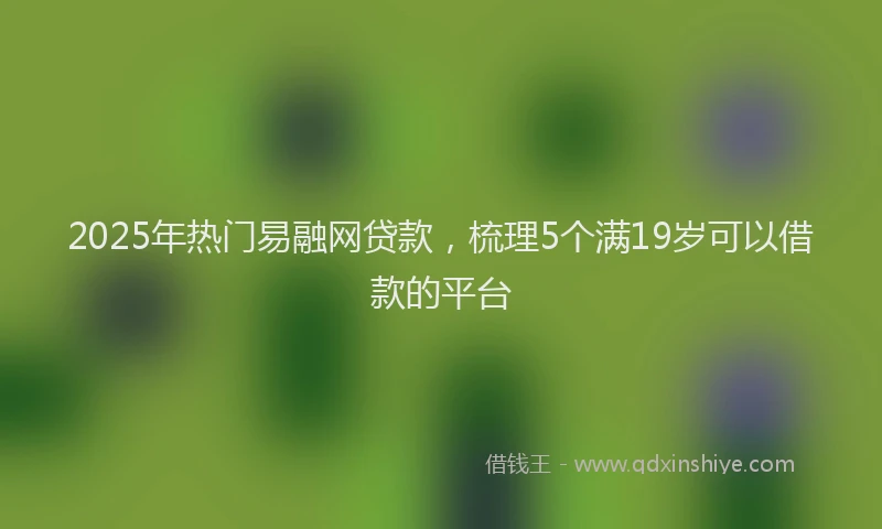 2025年热门易融网贷款，梳理5个满19岁可以借款的平台