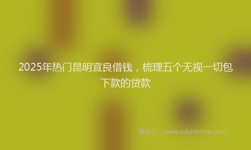 2025年热门昆明宜良借钱，梳理五个无视一切包下款的贷款