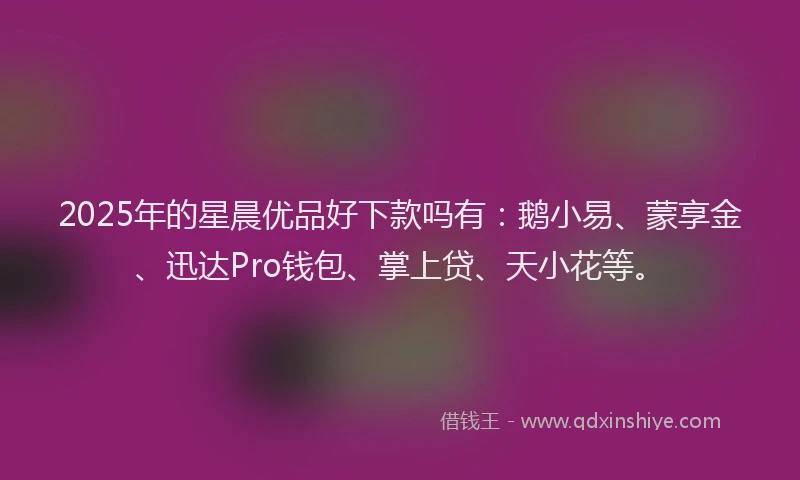 2025年的星晨优品好下款吗有：鹅小易、蒙享金、迅达Pro钱包、掌上贷、天小花等。