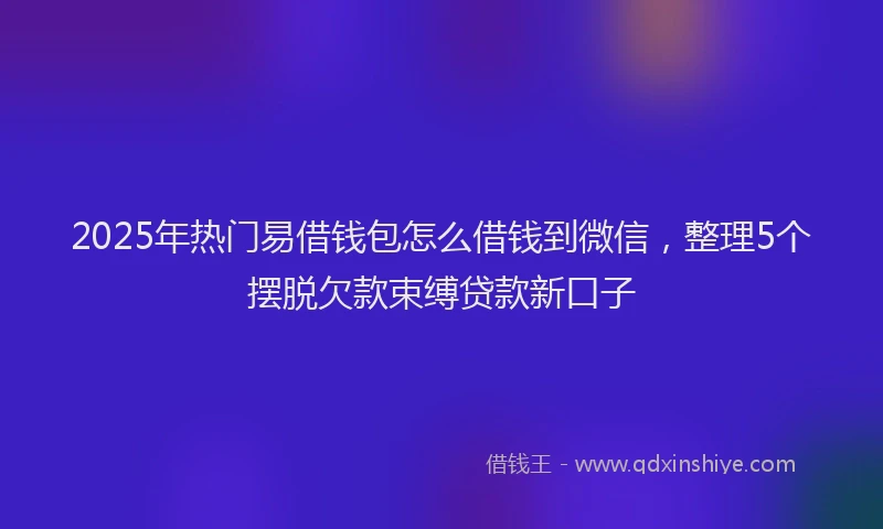 2025年热门易借钱包怎么借钱到微信，整理5个摆脱欠款束缚贷款新口子