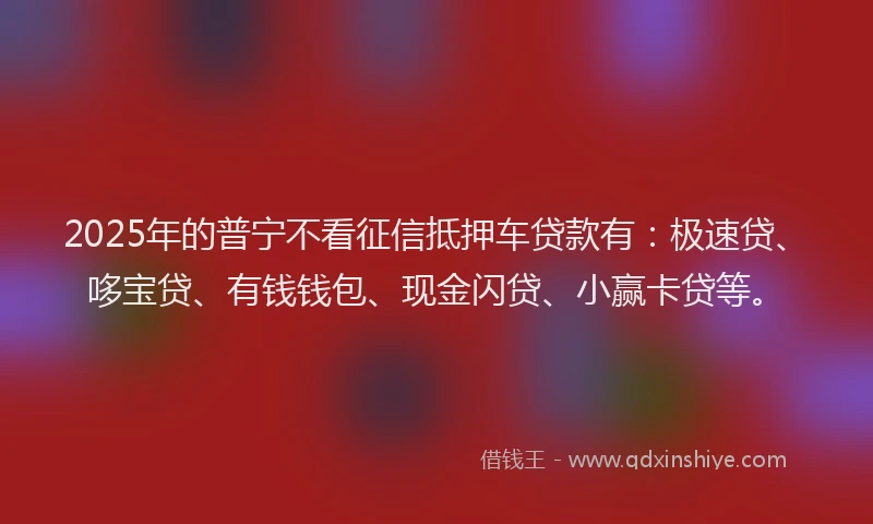 2025年的普宁不看征信抵押车贷款有：极速贷、哆宝贷、有钱钱包、现金闪贷、小赢卡贷等。