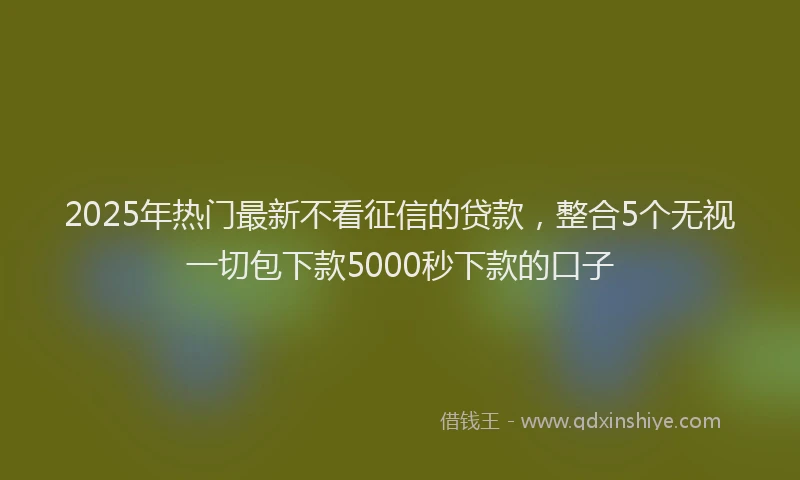 2025年热门最新不看征信的贷款，整合5个无视一切包下款5000秒下款的口子
