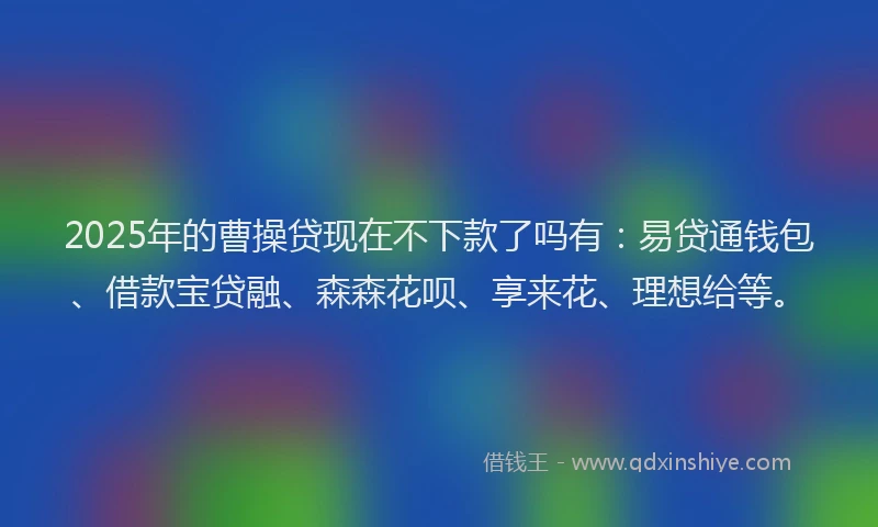 2025年的曹操贷现在不下款了吗有：易贷通钱包、借款宝贷融、森森花呗、享来花、理想给等。