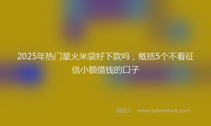 2025年热门星火米袋好下款吗，概括5个不看征信小额借钱的口子
