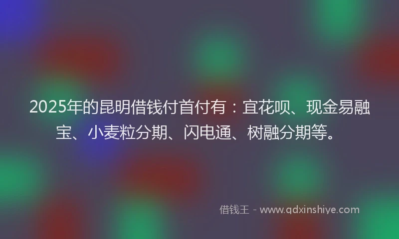 2025年的昆明借钱付首付有：宜花呗、现金易融宝、小麦粒分期、闪电通、树融分期等。