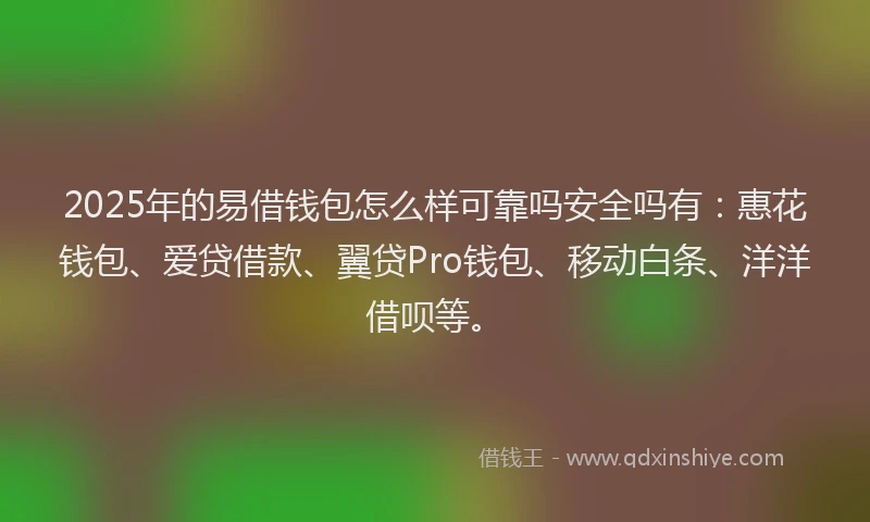 2025年的易借钱包怎么样可靠吗安全吗有：惠花钱包、爱贷借款、翼贷Pro钱包、移动白条、洋洋借呗等。