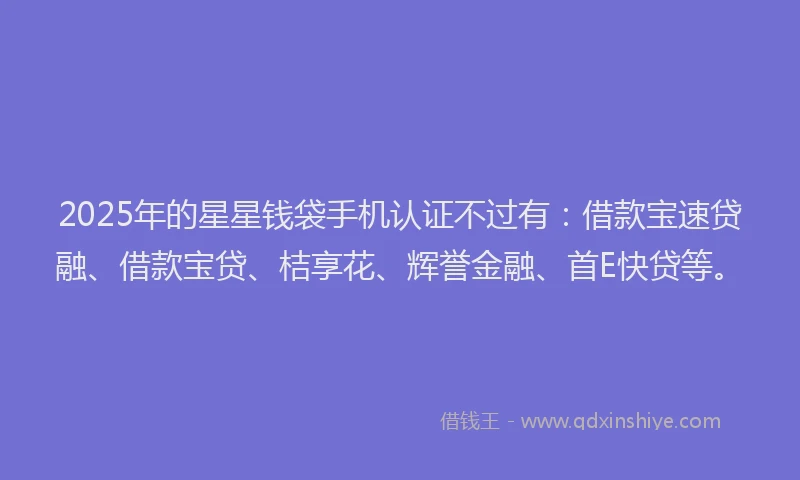 2025年的星星钱袋手机认证不过有：借款宝速贷融、借款宝贷、桔享花、辉誉金融、首E快贷等。
