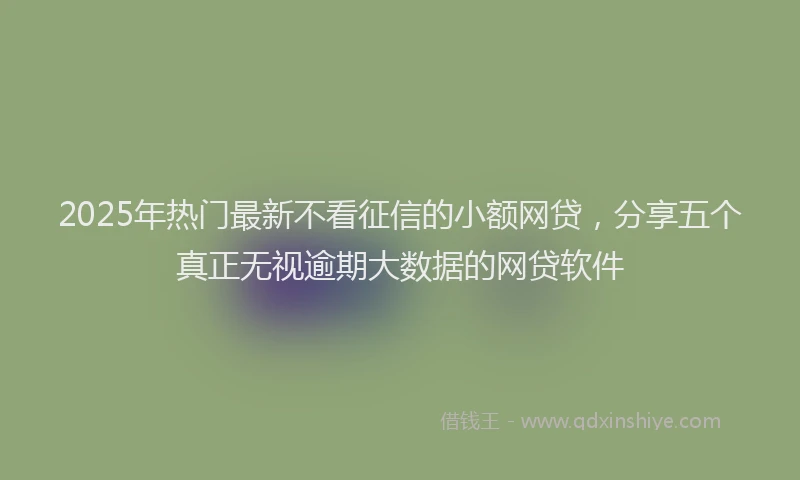 2025年热门最新不看征信的小额网贷，分享五个真正无视逾期大数据的网贷软件
