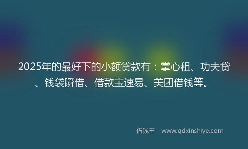 2025年的最好下的小额贷款有：掌心租、功夫贷、钱袋瞬借、借款宝速易、美团借钱等。